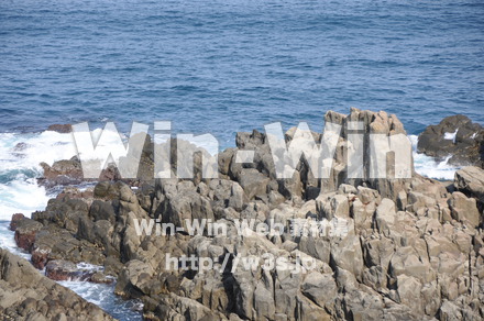 東尋坊の写真素材 W-001774