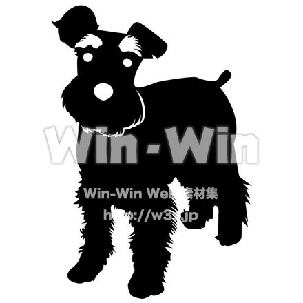 ミニチュアシュナウザーのシルエット素材 W-000790