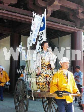 水鳥の祭　１の写真素材 W-001170