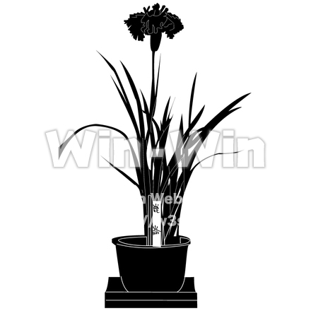 花菖蒲（鉢植え）のシルエット素材 W-000372