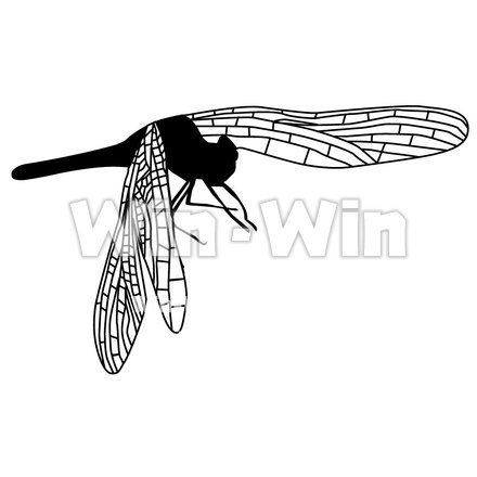 とんぼのシルエット素材 W-000401