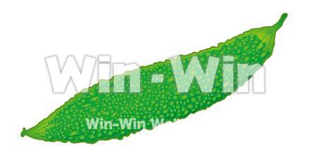 ゴーヤのCG・イラスト素材 W-001537