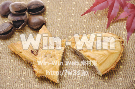 たいやきの写真素材 W-000711