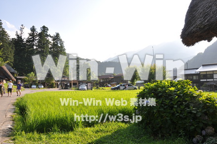 白川郷の写真素材 W-001974