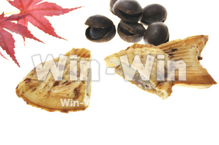 たいやきの写真素材 W-000712