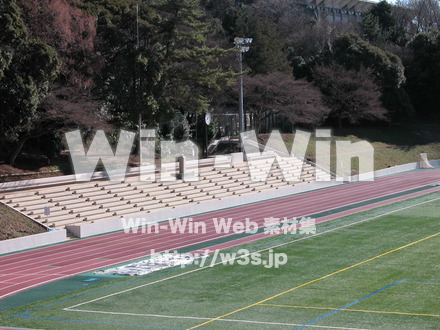 グランドの写真素材 W-000455