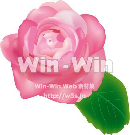 ツバキのCG・イラスト素材 W-001609