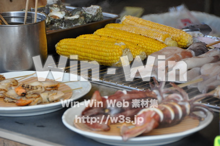 東尋坊の写真素材 W-001764