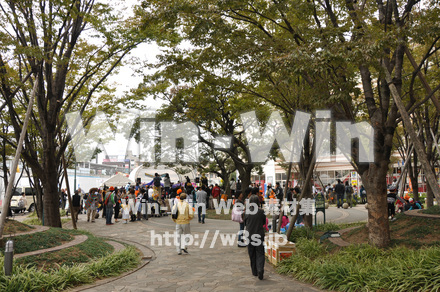 第1回小杉フェスタの写真素材 W-000839