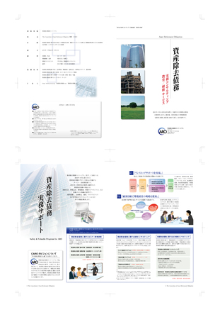 CAROパンフレット D-000311 のパンフレット