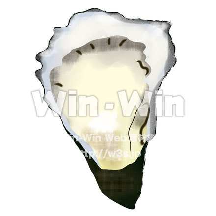 牡蠣のCG・イラスト素材 W-000241