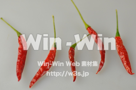 とうがらしの写真素材 W-000097
