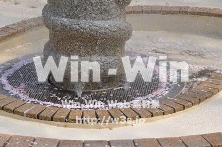 桜の写真素材 W-001418