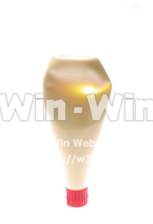 マヨネーズの写真素材 W-000101