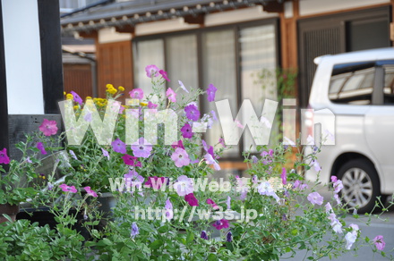 白川郷の写真素材 W-001969