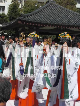 水鳥の祭　５の写真素材 W-001177