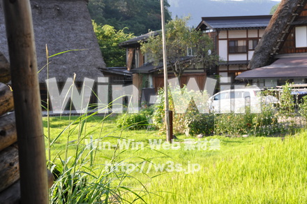 白川郷の写真素材 W-001965