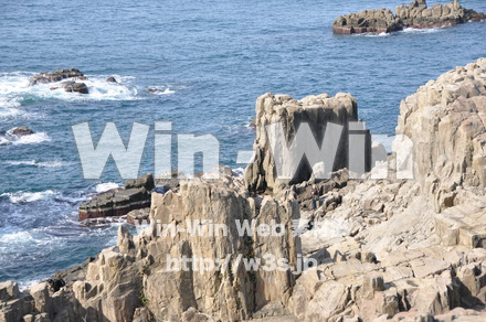 東尋坊の写真素材 W-001769