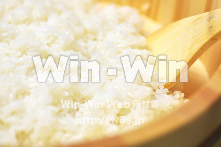 酢めしの写真素材 W-000585