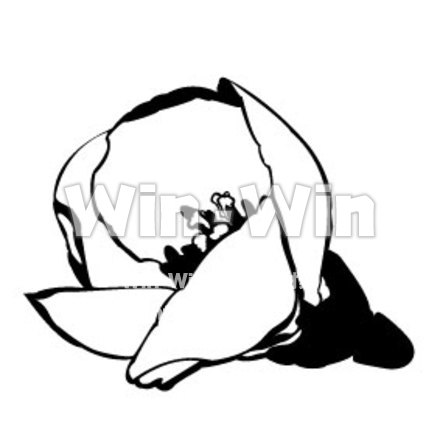 蕾のシルエット素材 W-000376