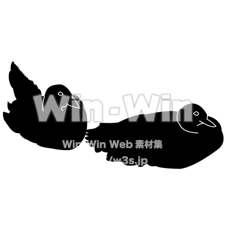 カモの夫婦のシルエット素材 W-000377
