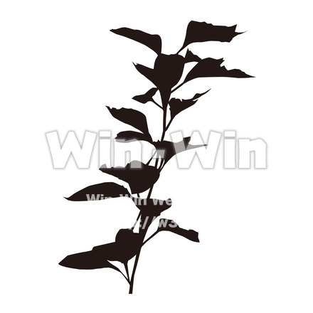 ホオズキのシルエット素材 W-000399