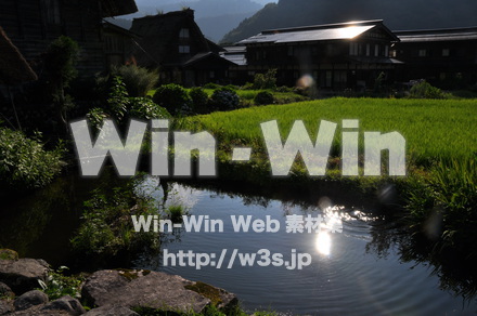 白川郷の写真素材 W-001998