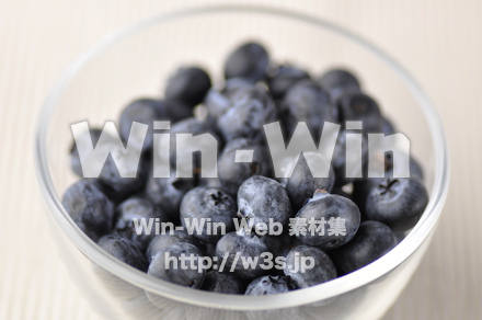 ブルーベリーの写真素材 W-001208