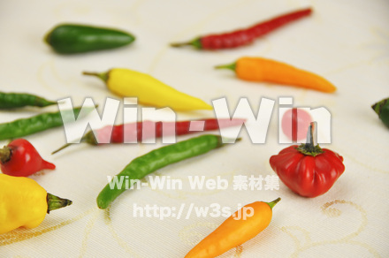 色々なとうがらしの写真素材 W-000091