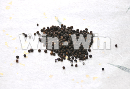 黒コショウの写真素材 W-000065