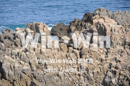 東尋坊の写真素材 W-001773