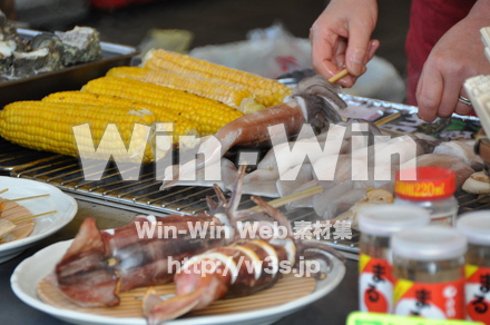 東尋坊の写真素材 W-001763