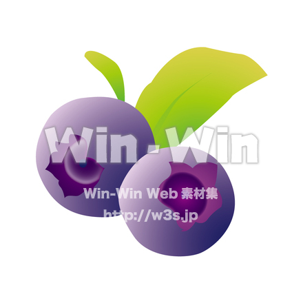 ブルーベリーのCG・イラスト素材 W-000007