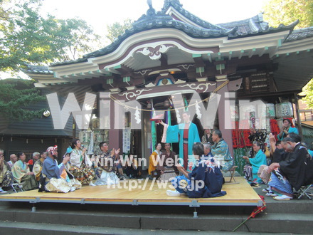 水鳥の祭　１２の写真素材 W-001196