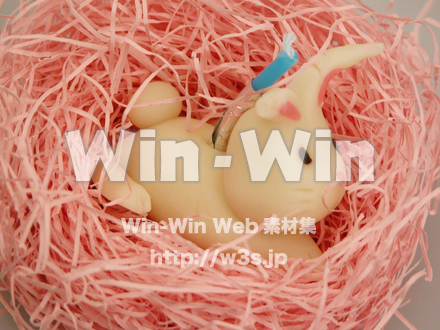 うさぎのパン細工の写真素材 W-001159