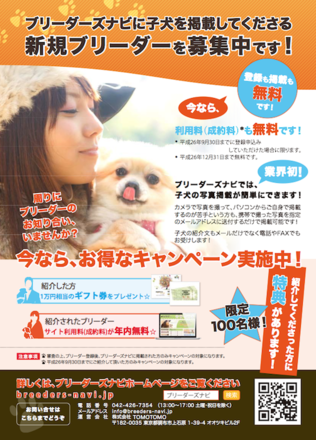 ブリーダーズナビ A4チラシ D-000790 のチラシ
