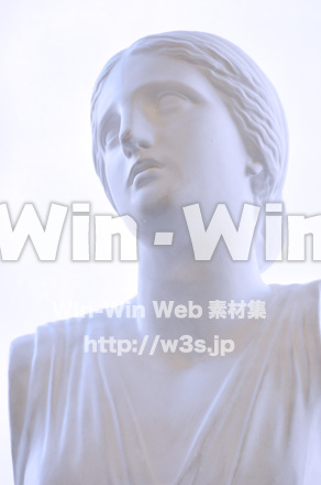 ニオベ胸像の写真素材 W-000520