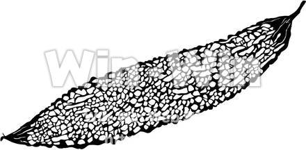 ゴーヤのシルエット素材 W-001234