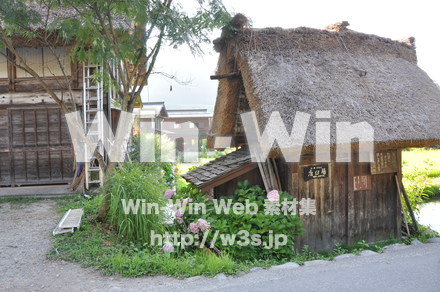 白川郷の写真素材 W-001975