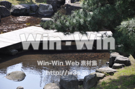 日本庭園の写真素材 W-000697