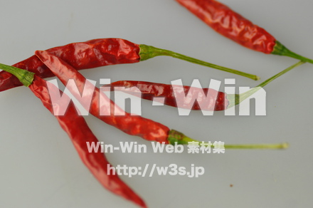 とうがらしの写真素材 W-000096