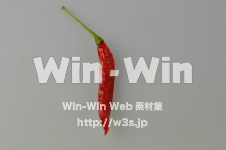 とうがらしの写真素材 W-000099