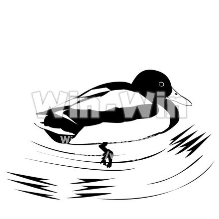 水鳥のシルエット素材 W-000367
