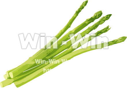 アスパラガスのCG・イラスト素材 W-000001