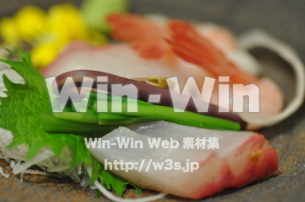 お刺身の写真素材 W-000598