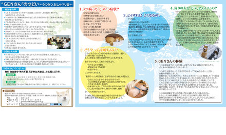 うつ病どうすればよくなるの？パンフレット（P2～P4） D-000738 のパンフレット