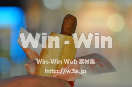 ホットドックの写真素材 W-000691