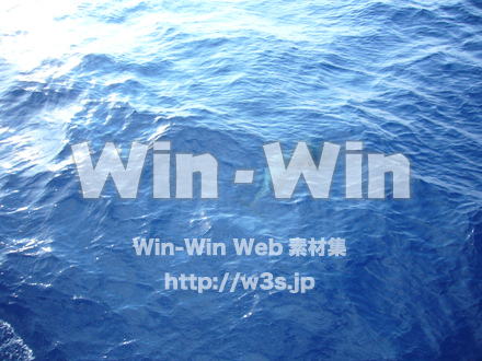 イルカの写真素材 W-000862