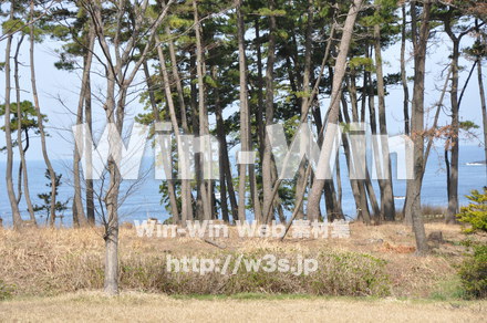 東尋坊の写真素材 W-001831