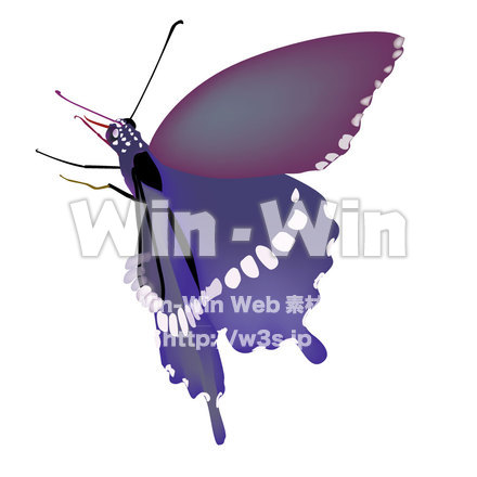 蝶のCG・イラスト素材 W-001546